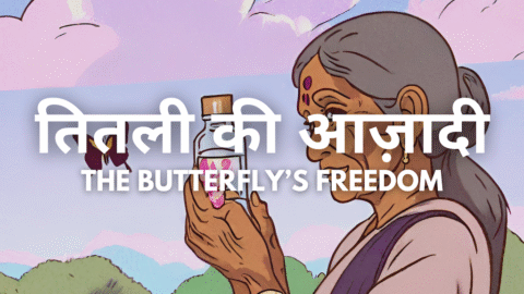 The Butterfly's Freedom