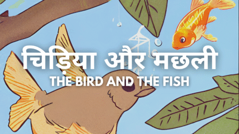 The Bird and the Fish